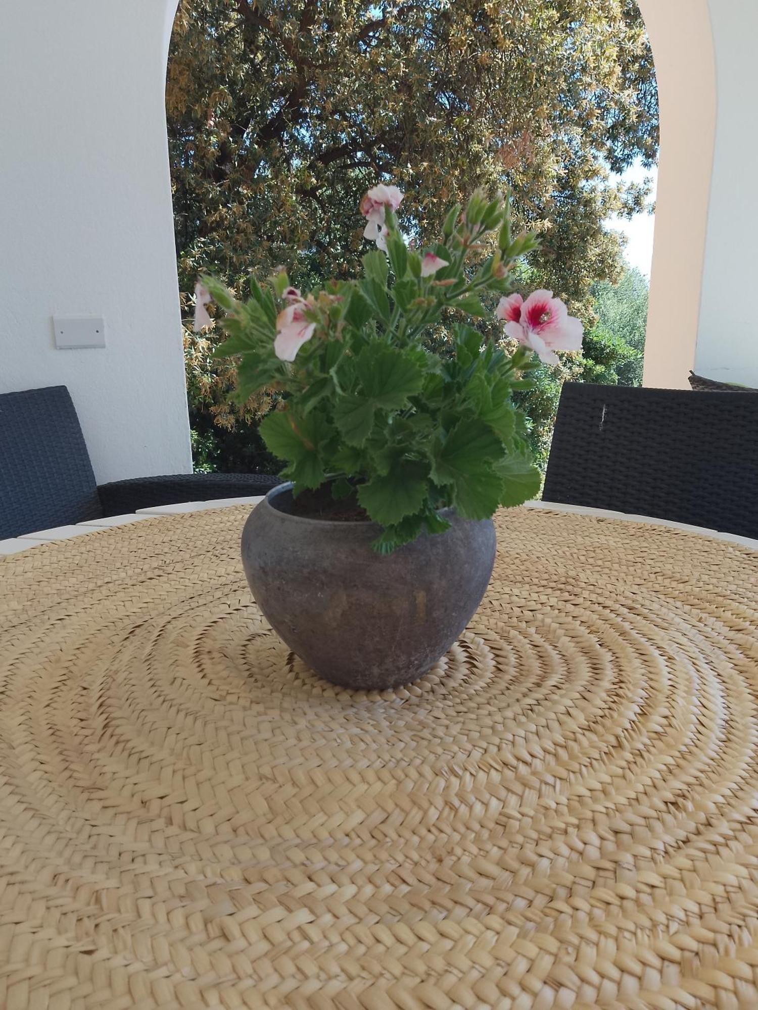 B&B Bentos Pula Di Lucarelli S Экстерьер фото